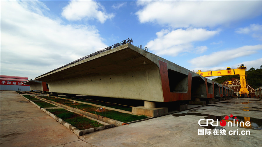 粤港澳大湾区门户网