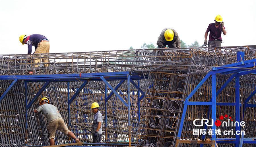 粤港澳大湾区门户网