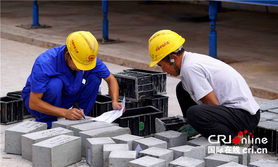 粤港澳大湾区门户网