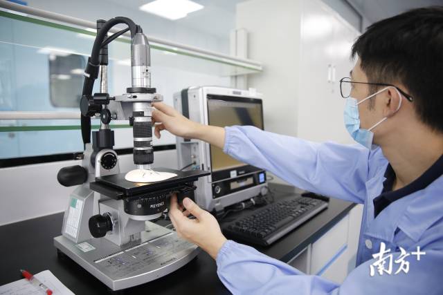 深圳先健科技的技术人员正在用电子显微镜查看新研发的血管支架。鲁力摄