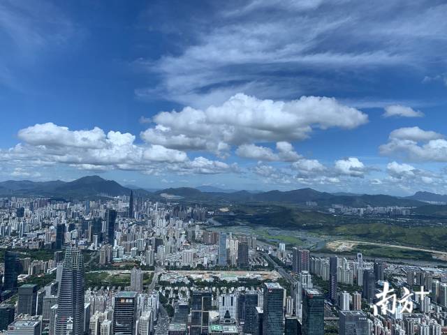 深圳福田片区。摄影记者李荣华 深圳福田片区。摄影记者李荣华