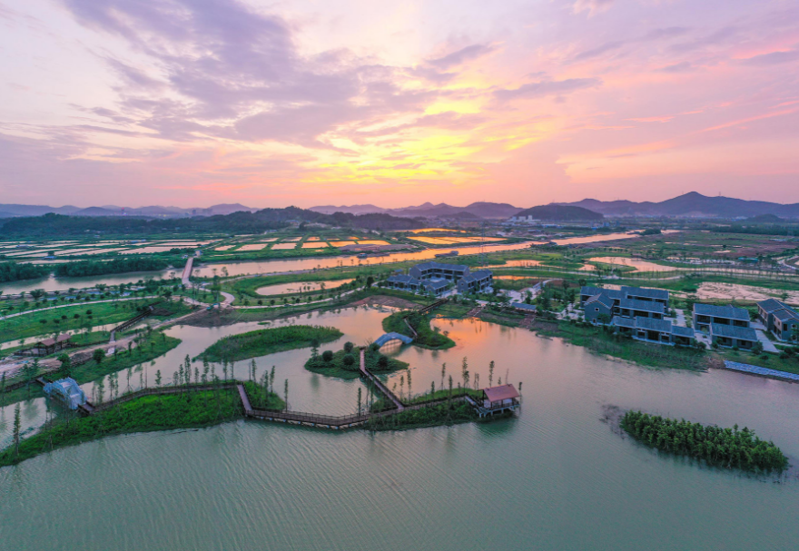 在中山翠亨国家湿地公园，红树林同样是一道靓丽的风景线，在黄昏时分，公园里“秋水共长天一色，落霞与孤鹜齐飞”，一派安谧祥和。图为中山翠亨国家湿地公园。