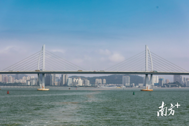 港珠澳大桥与香洲区遥相呼应。南方+记者 钱文攀摄