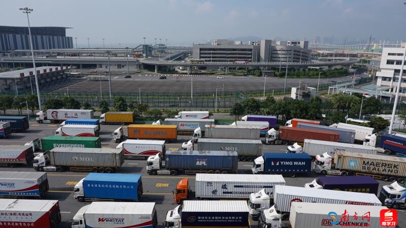 载货车辆正在港珠澳大桥珠海公路口岸排队过关。