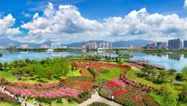 肇庆新区努力构建绿色发展生态格局
