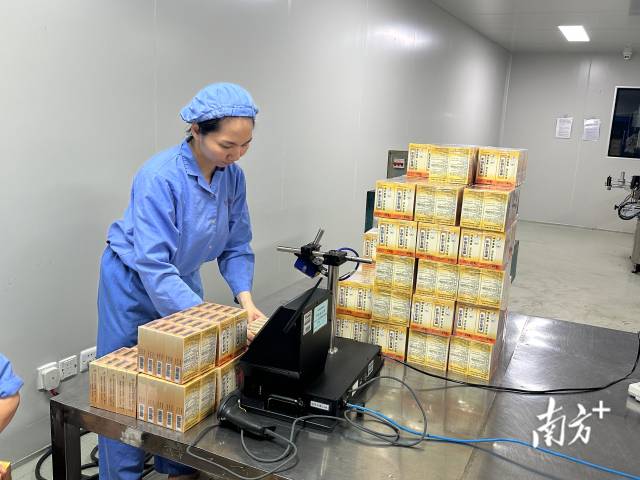 在广东恒健制药有限公司生产车间内，“位元堂”的麝香活络油已完成灌装与包装，赋上药品溯源码后，正式下生产线。