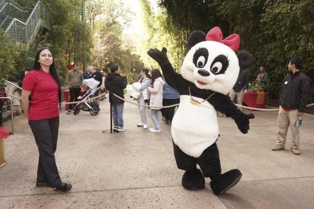 △今年2月4日，在美国加州圣迭戈动物园，一名装扮成熊猫的工作人员在春节庆祝活动上欢迎游客。