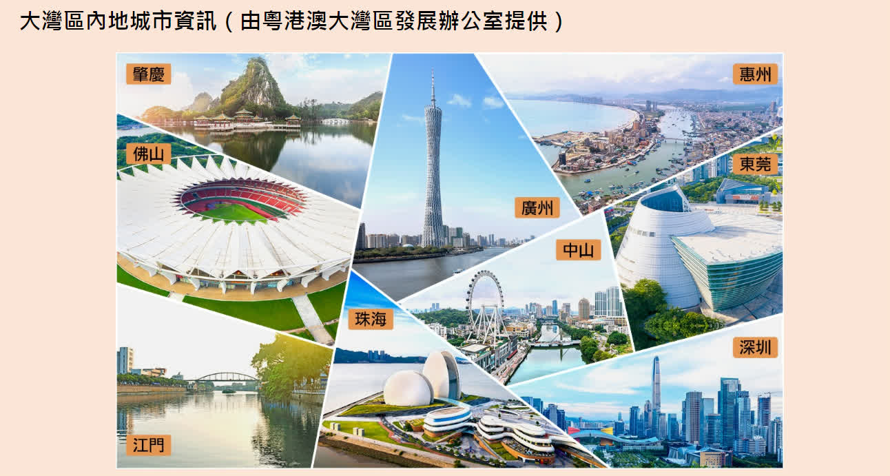 "大湾区青年就业计划"网站截图