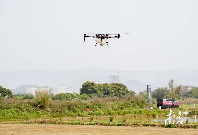 极飞科技农业无人机正在“极飞科技超级农场”进行飞行演示。