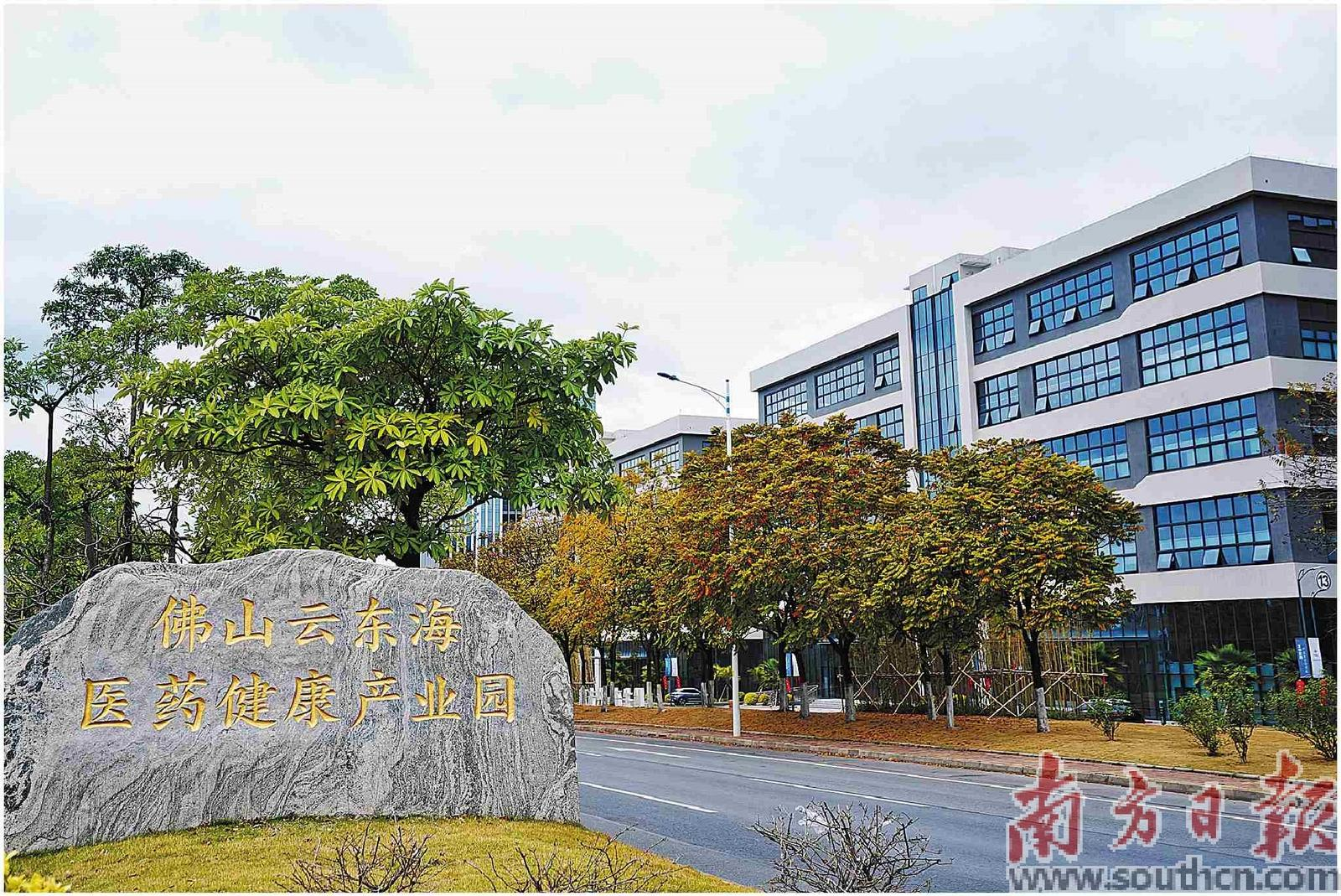 云东海医药健康产业园入围全省十大生物医药健康产业园。戴嘉信 摄