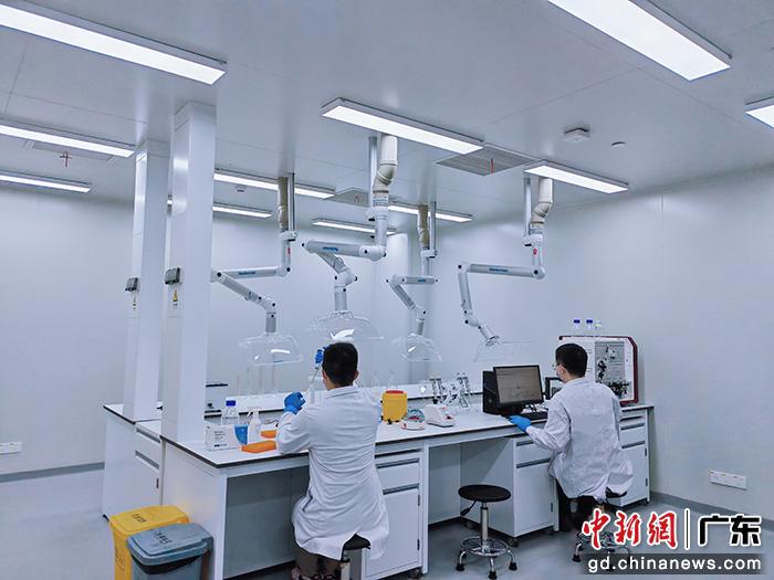  在“湾有引力”实验室工作中的科研团队。受访者供图
