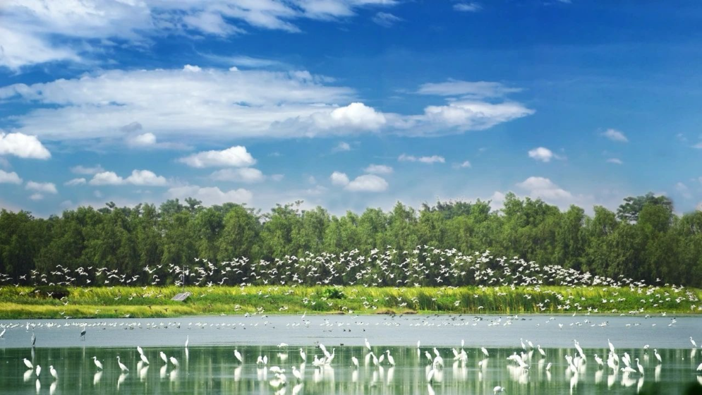 图集｜环珠江口以生态筑基 托起澎湃“湾区蓝”