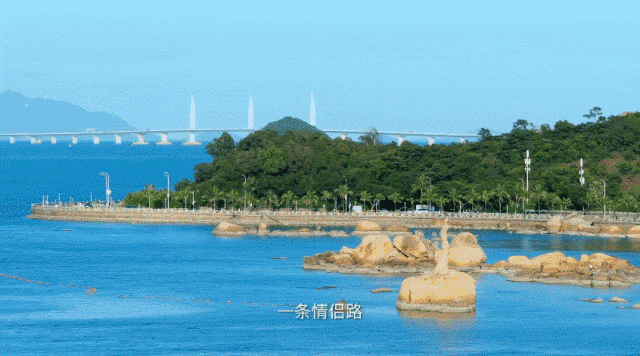 这是我的城！珠海最新城市形象片发布！
