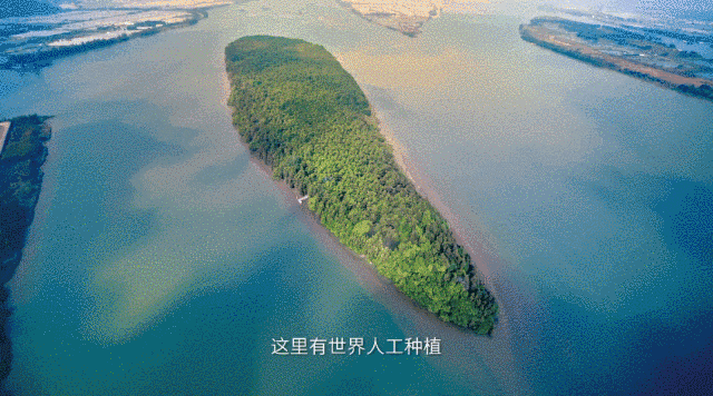这是我的城！珠海最新城市形象片发布！