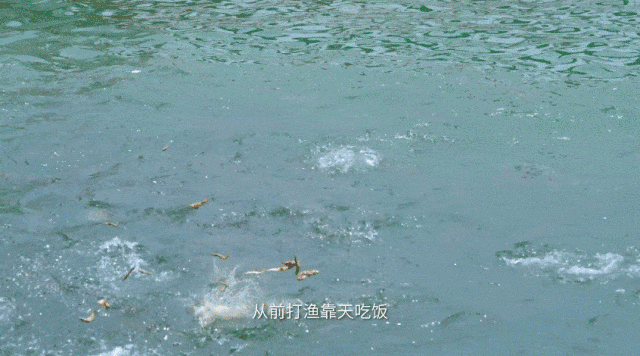 这是我的城！珠海最新城市形象片发布！