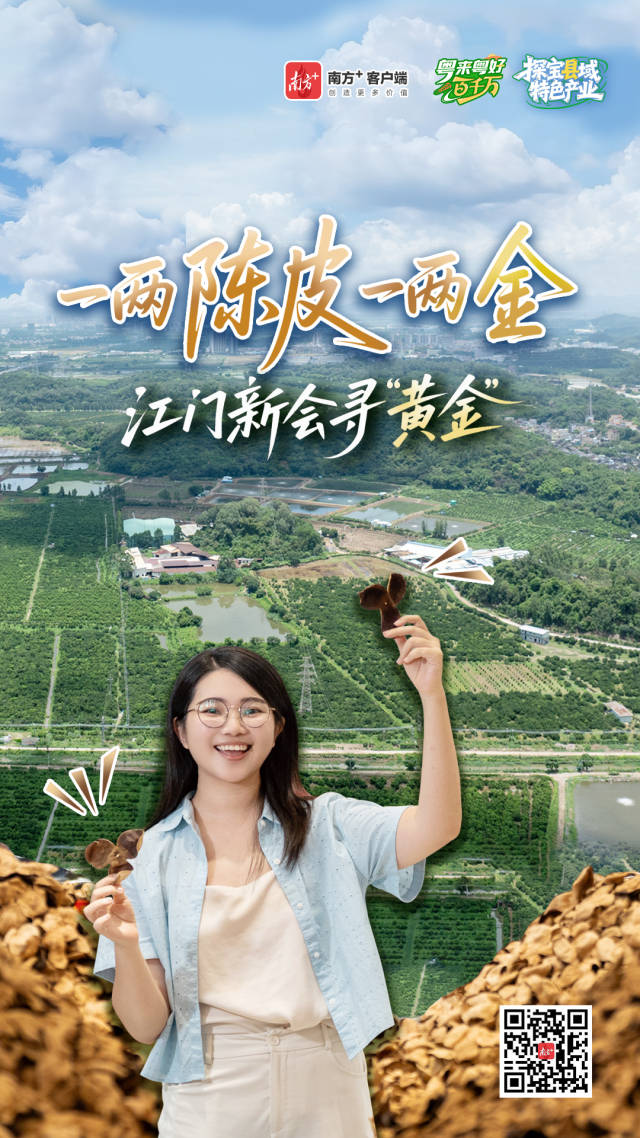 产值近280亿元，江门新会陈皮为何贵如“黄金”？