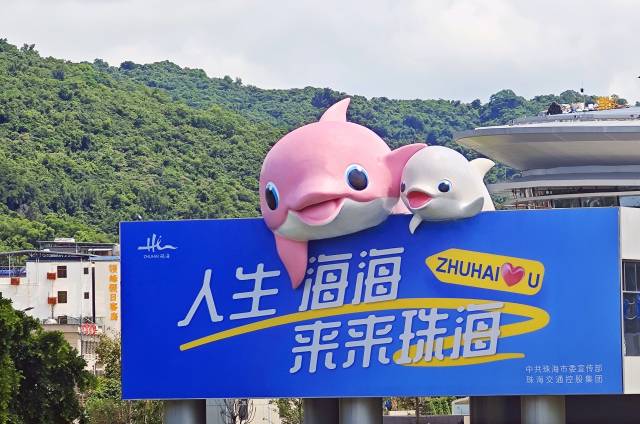 位于珠海机场的巨型中华白海豚艺术装置。 通讯员 供图