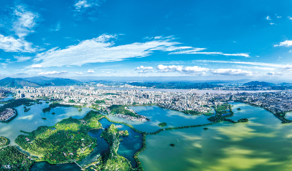 解码全国百强榜上的“湾区力量”，谁是黑马？