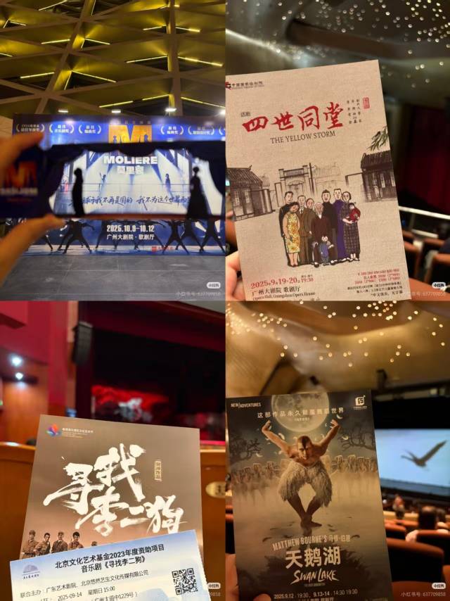 近一个月，资深剧粉京洛（化名）奔赴穗深各大剧场看戏。