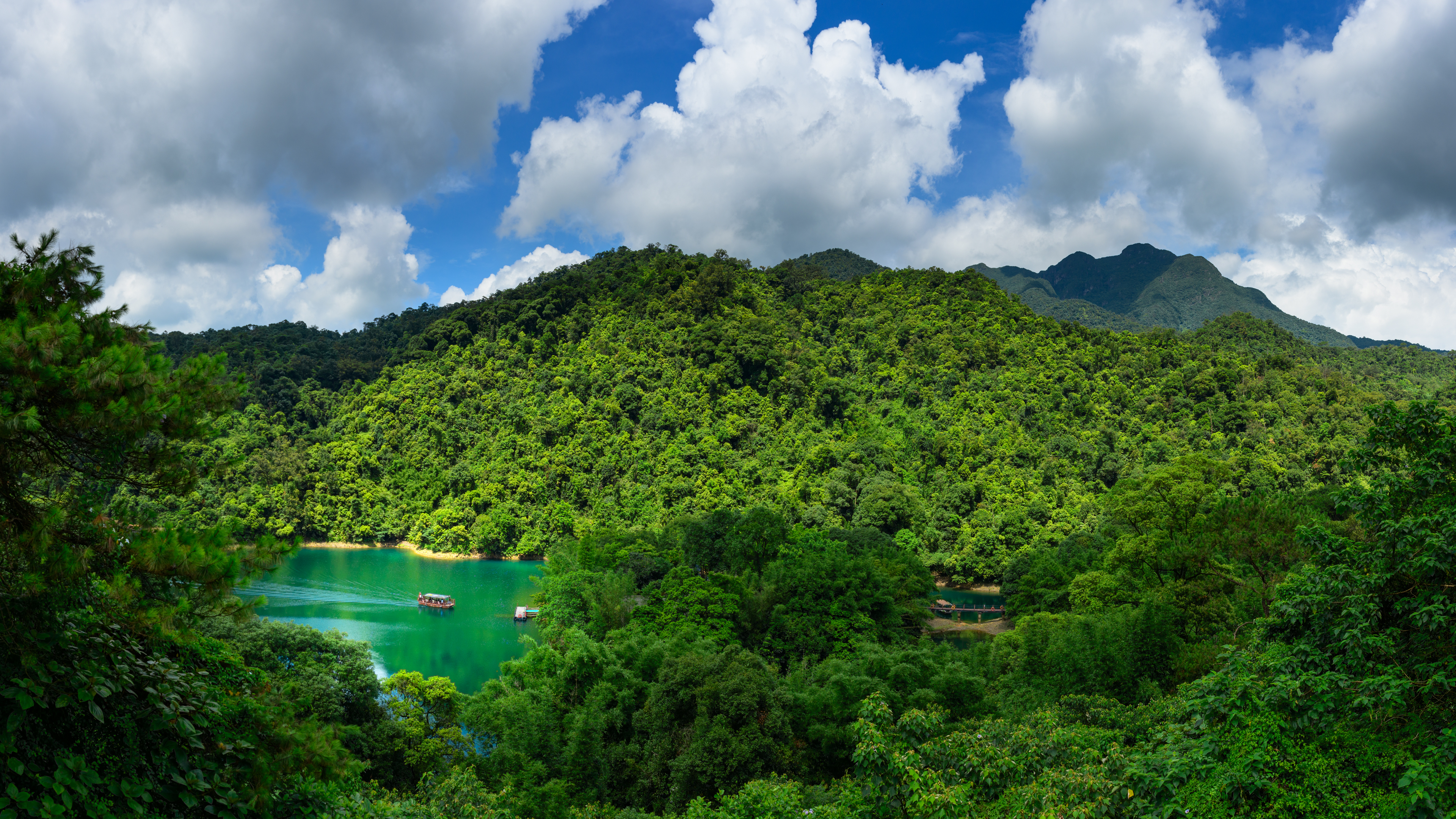 “70岁”的鼎湖山
