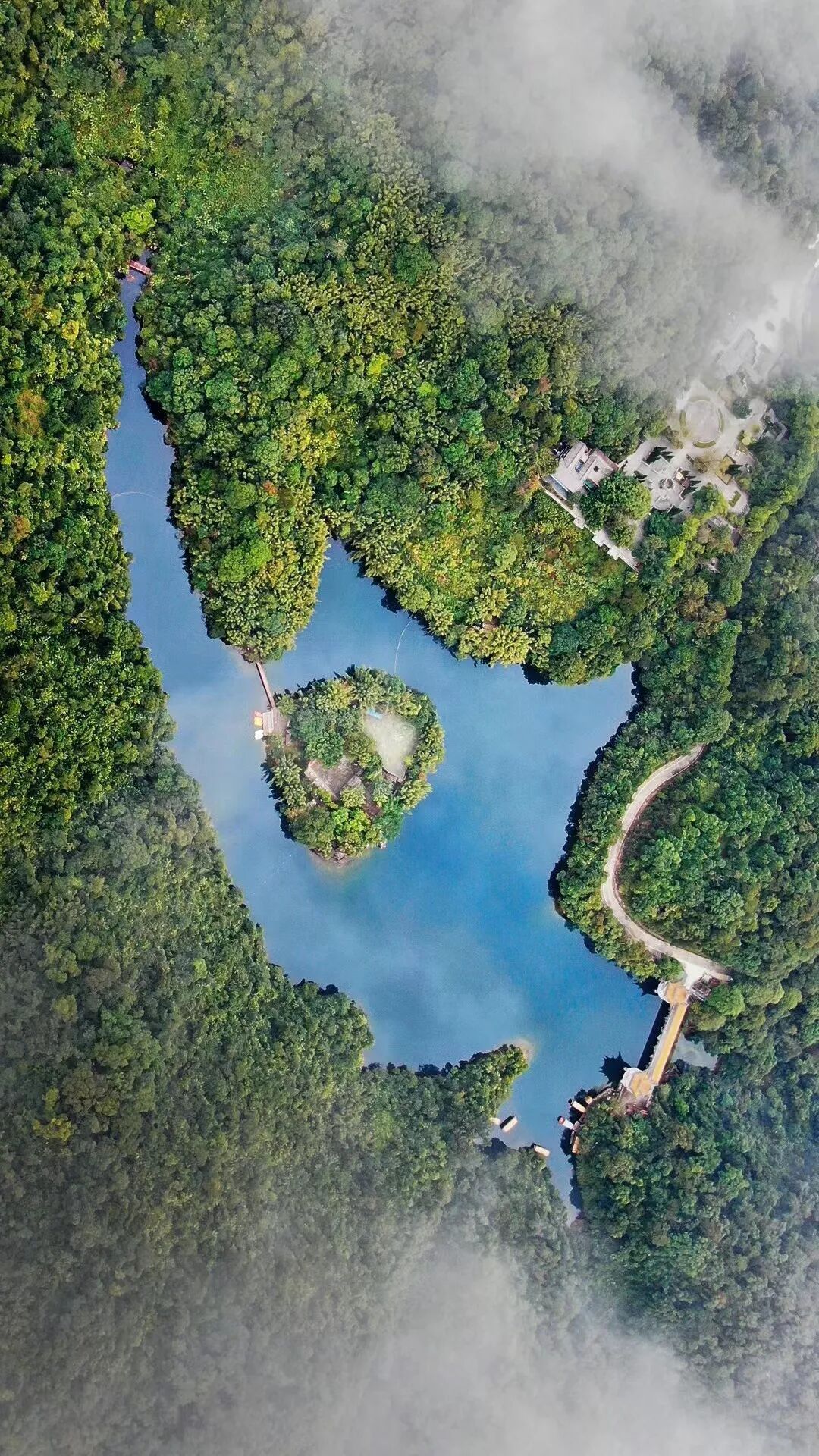 “70岁”的鼎湖山