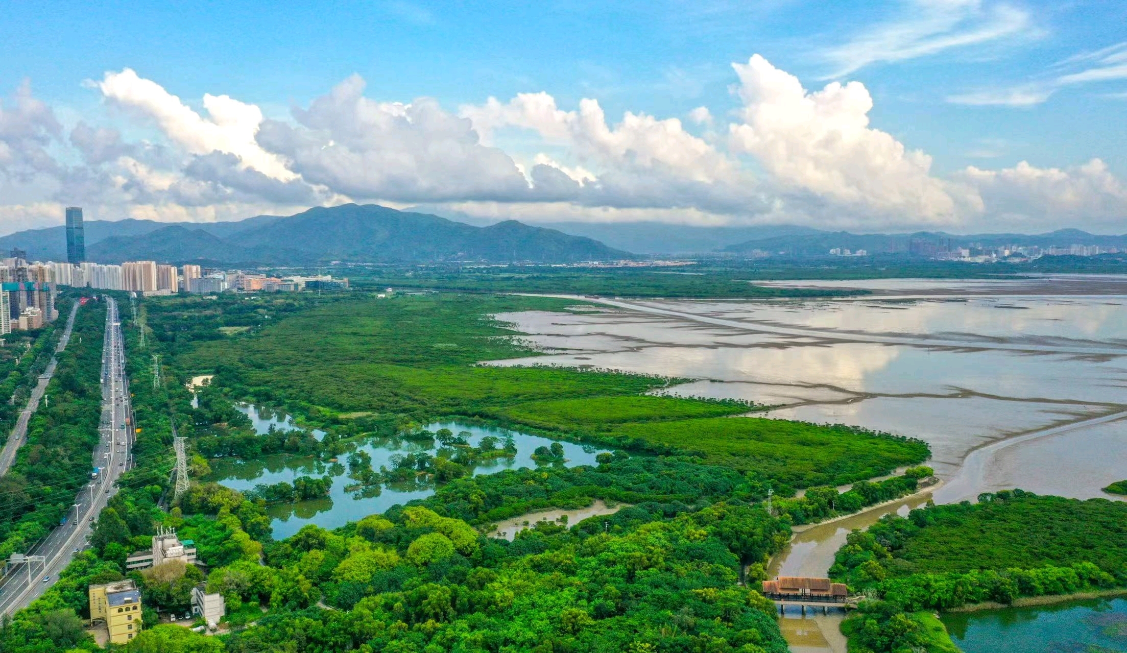 向全球首发!深圳这份“共生之城”白皮书绿意超浓 向全球首发!深圳这份“共生之城”白皮书绿意超浓
