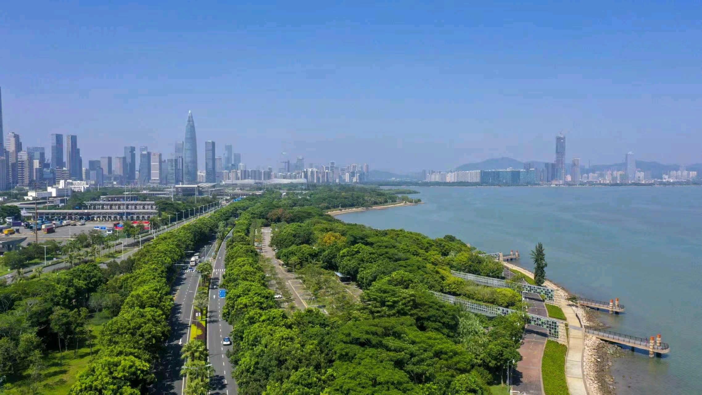 向全球首发!深圳这份“共生之城”白皮书绿意超浓 向全球首发!深圳这份“共生之城”白皮书绿意超浓