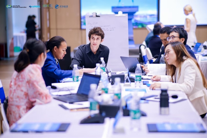 APEC能效与节能专家组会议在前海举行 集中供冷受到关注 APEC能效与节能专家组会议在前海举行 集中供冷受到关注