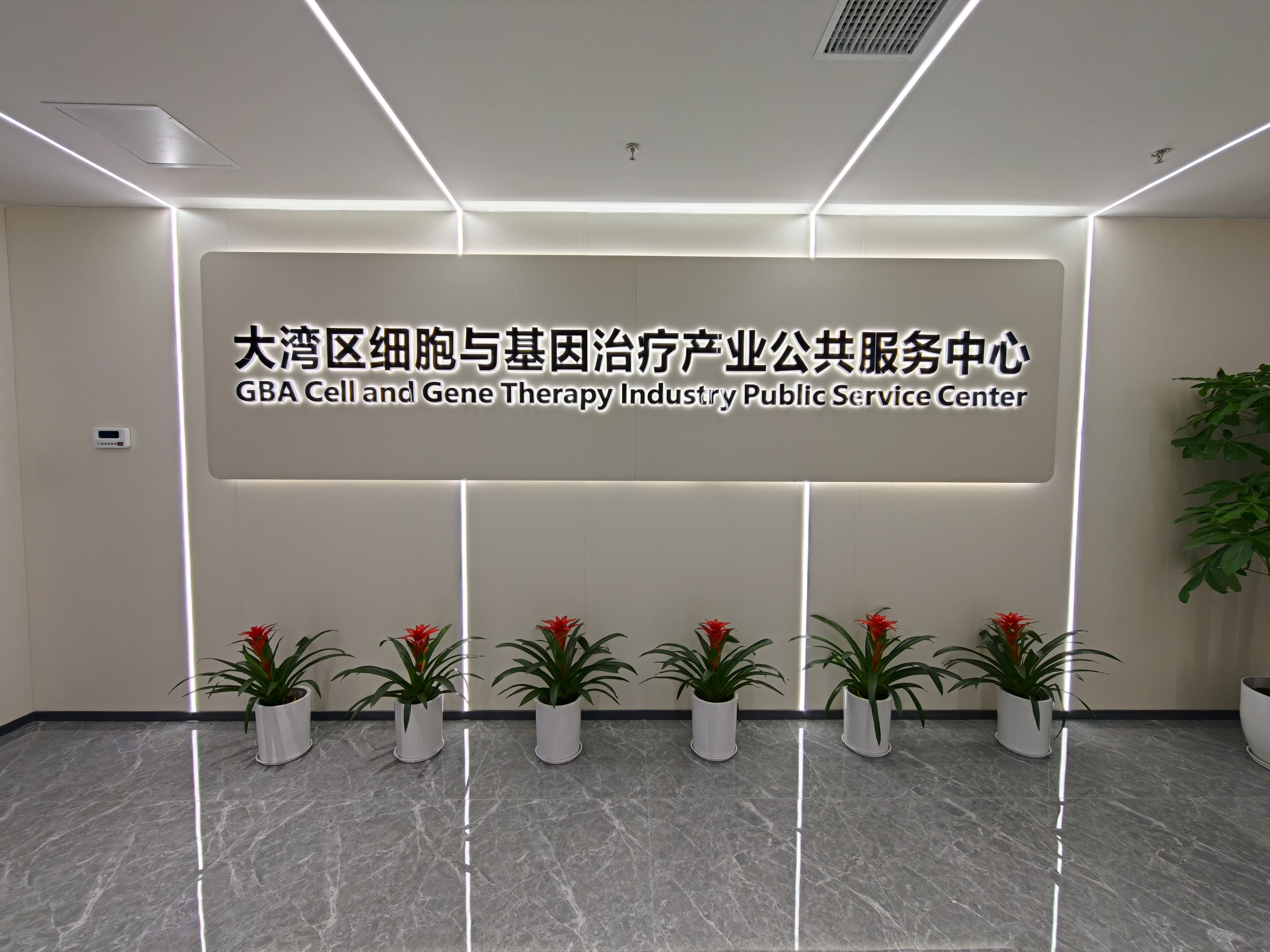 大湾区细胞与基因治疗产业公共服务中心揭牌运营 大湾区细胞与基因治疗产业公共服务中心揭牌运营