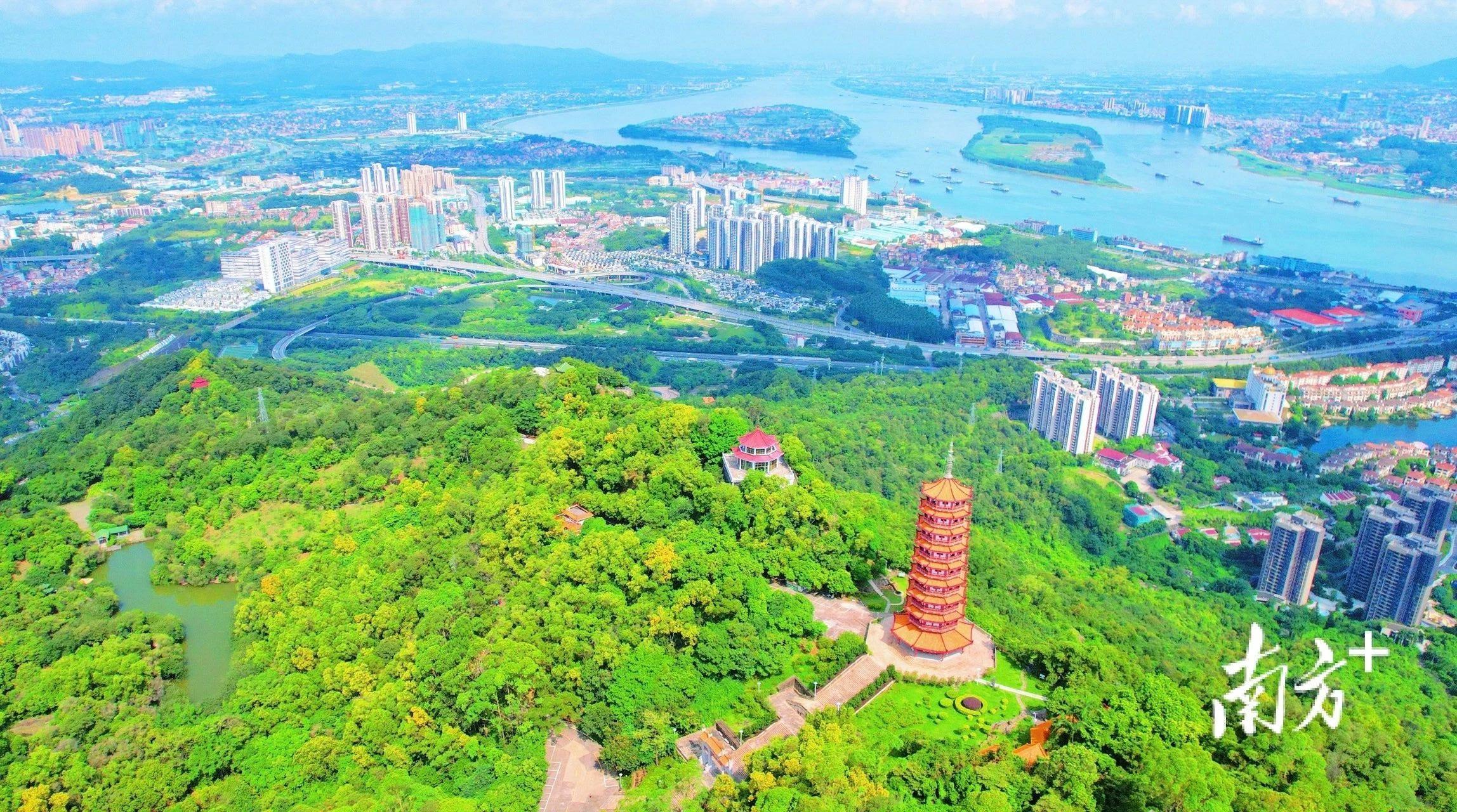 好一个江门,产业正青春 好一个江门,产业正青春