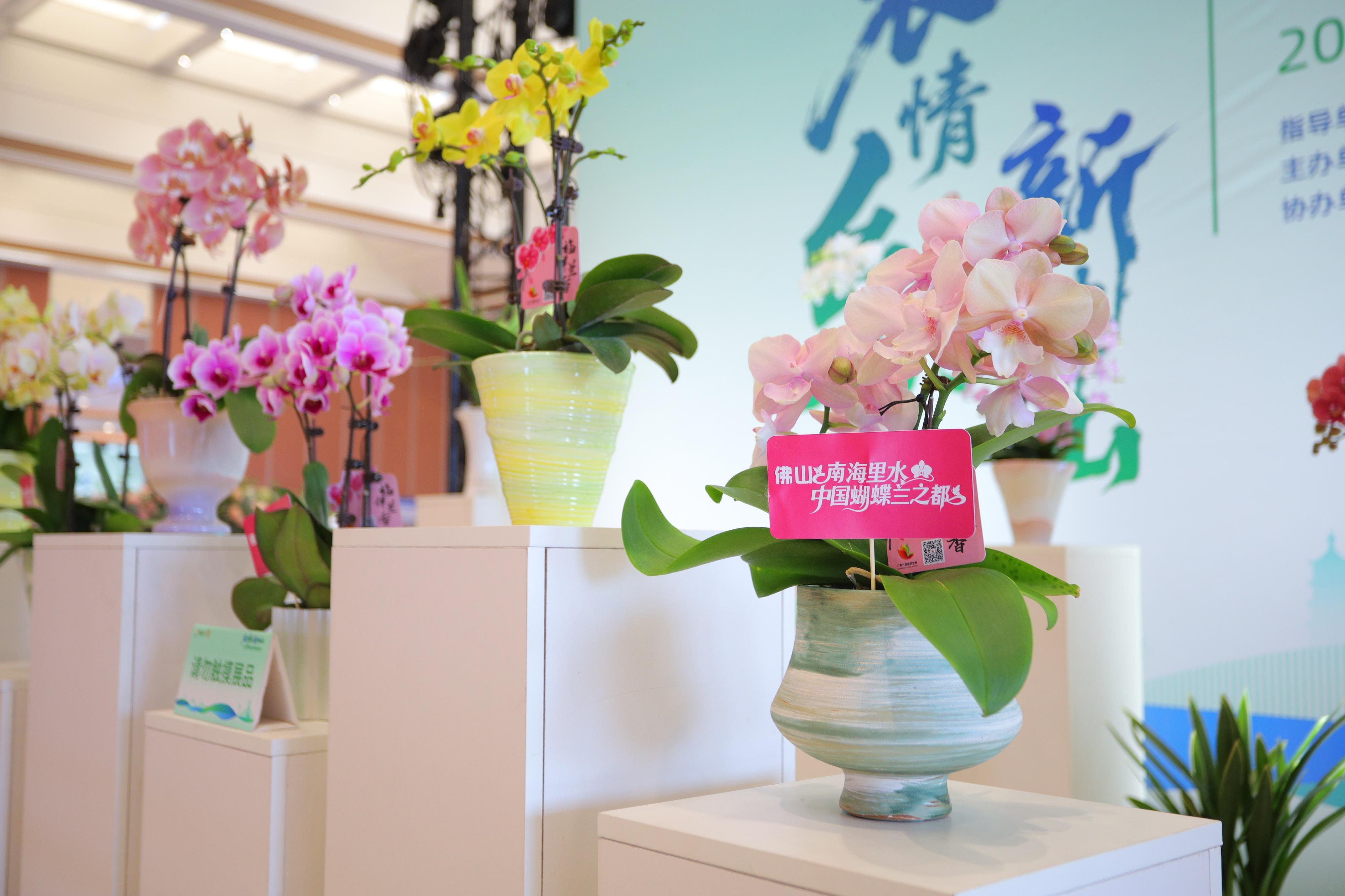 一条鱼、一枝花、一盆菜,佛山现代农业跑出500亿元产值 一条鱼、一枝花、一盆菜,佛山现代农业跑出500亿元产值