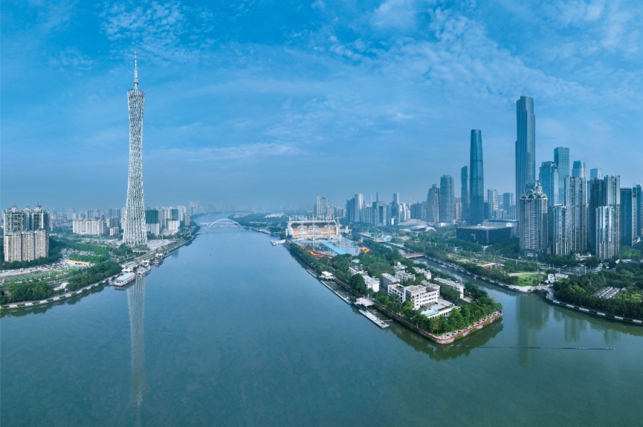 海心沙亚运公园东侧的树林是众多白鹭的栖息地。 图 广州日报新花城记者:莫伟浓