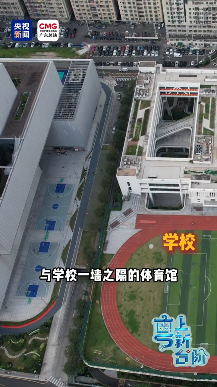 大湾区为何盛产“体育小将”? 大湾区为何盛产“体育小将”?