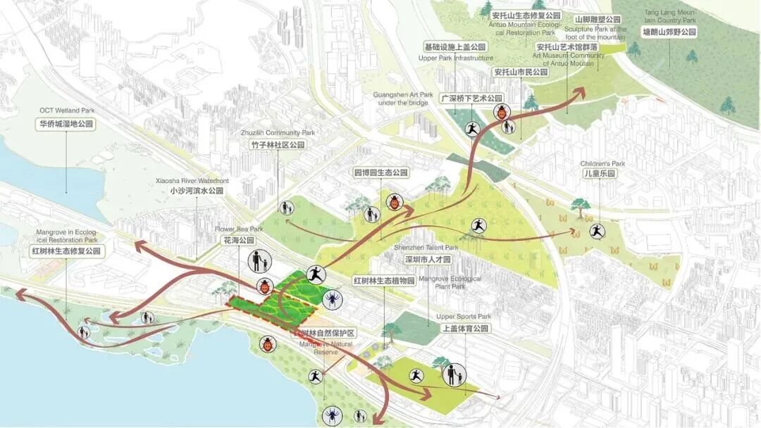 全球首个红树林湿地博物馆要来了 全球首个红树林湿地博物馆要来了