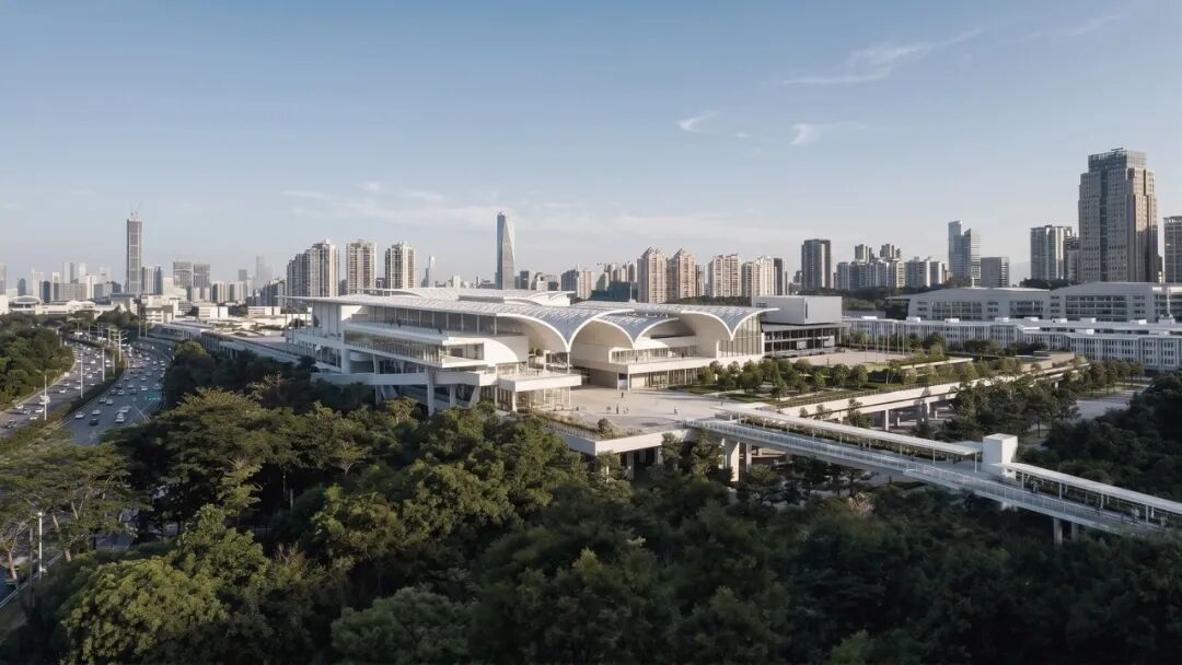 全球首个红树林湿地博物馆要来了 全球首个红树林湿地博物馆要来了